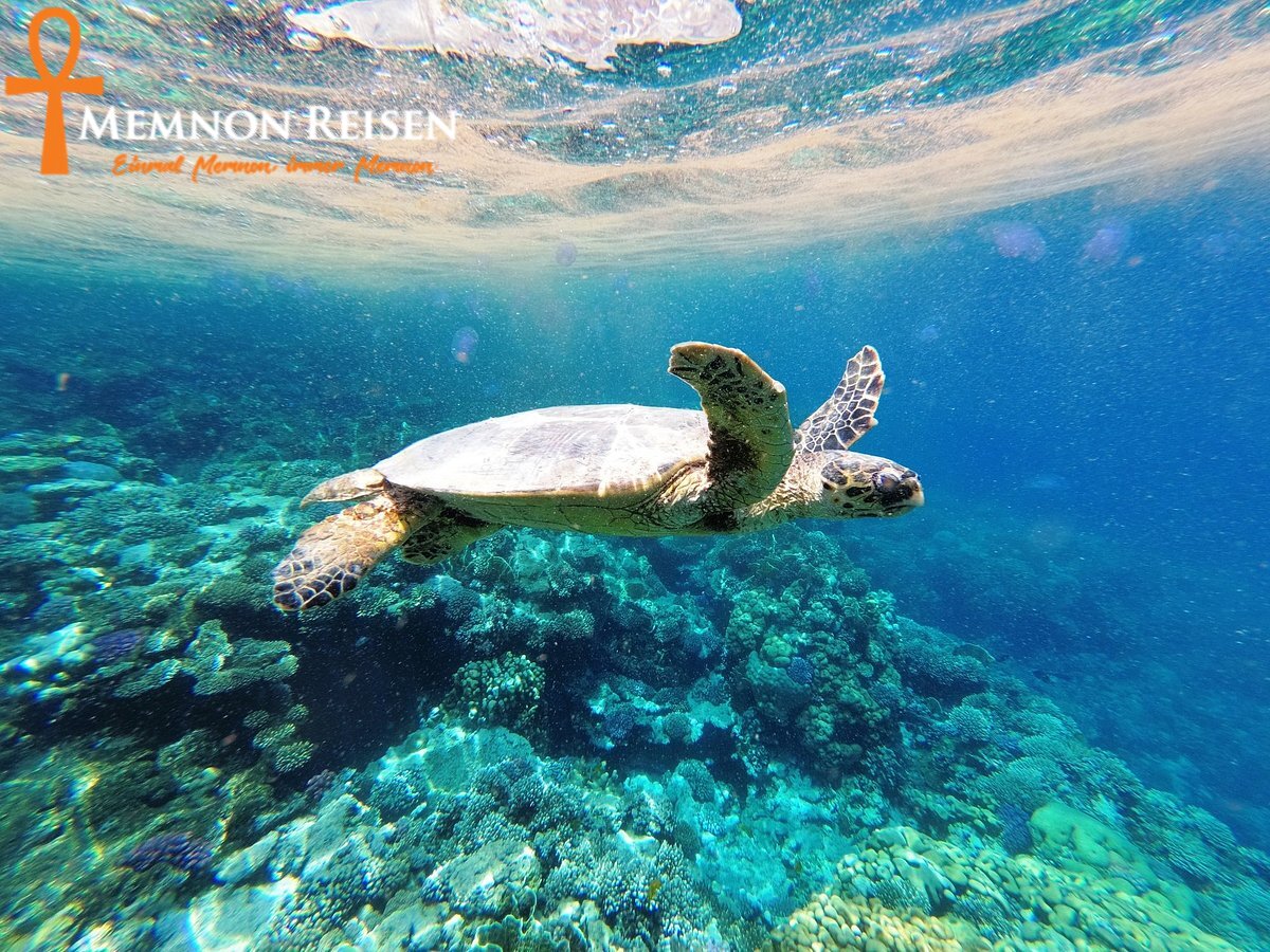 Hurghada oder Marsa Alam 2027 : Welcher Urlaubsort ist besser?