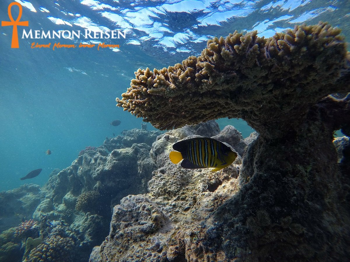 Hurghada oder Marsa Alam 2027 : Welcher Urlaubsort ist besser?