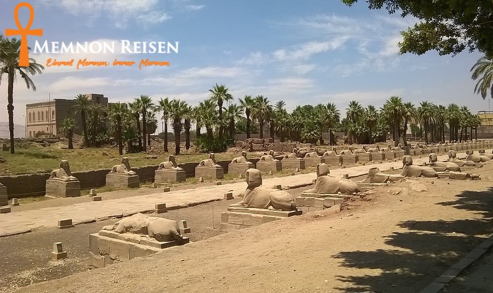 viale-delle-sfingi Luxor oder Kairo ab Hurghada : Welcher Ausflug lohnt sich?