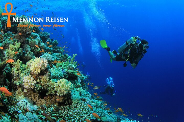 7a (1) Abu Ghusun Schiffswrack ab Marsa Alam