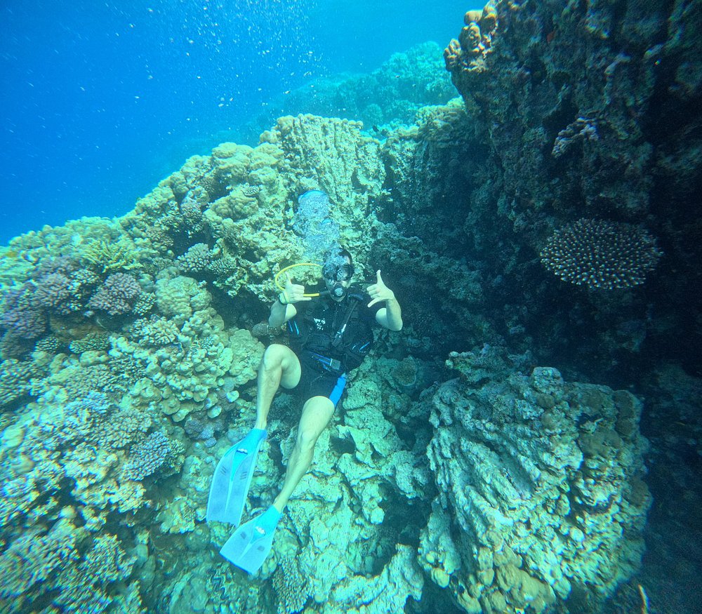 caption - 2026-08-03T011834.255 - Copie Abu Ghusun Schiffswrack ab Marsa Alam