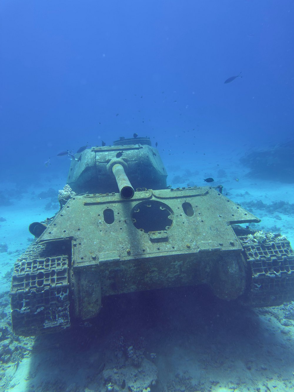 caption - 2026-08-03T011900.711 - Copie Abu Ghusun Schiffswrack ab Marsa Alam