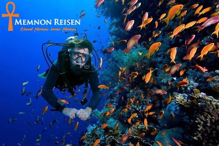 e0 (1) Sharm El Luli ab El Quseir